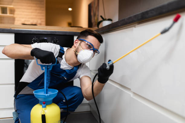 Best Pest Prevention Services  in Sonora, TX