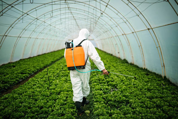 Best Best Pest Control Companies  in Sonora, TX