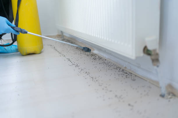 Best Cockroach Control Services  in Sonora, TX
